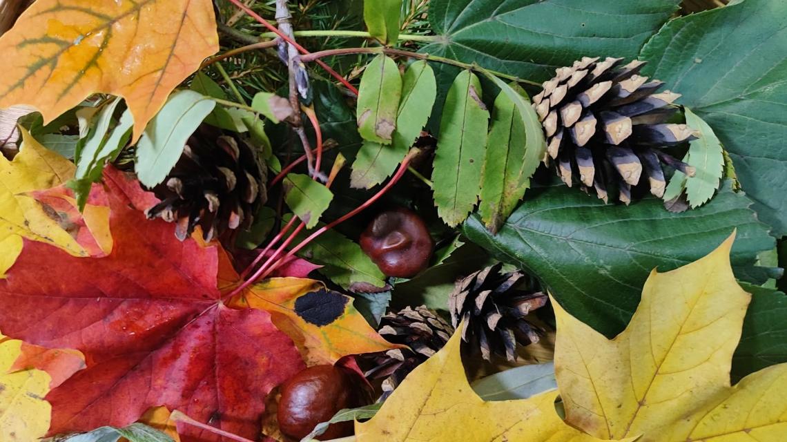 Kūrybinis-edukacinis užsiėmimas „Rudens garsai radijo bangomis“