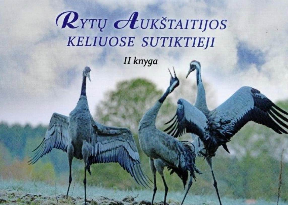 Paveikslėlis