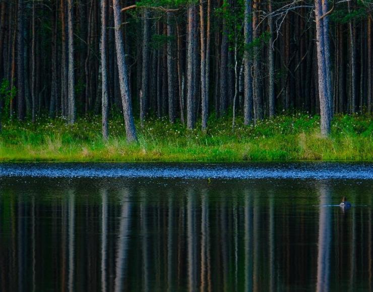 Nuotraukų konkurso „Per objektyvą atrask Visaginą“ nugalėtojai