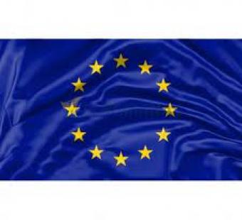 Edukacinis žaidimas „Europos šalių mozaika“, skirtas Europos dienai