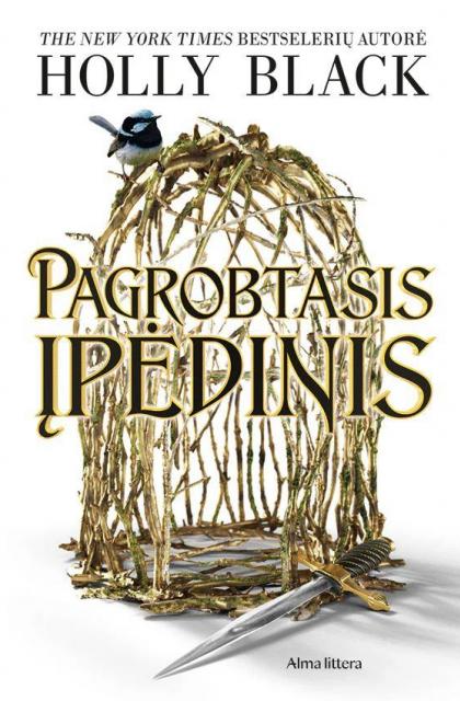 Holly Black „Pagrobtasis įpėdinis“